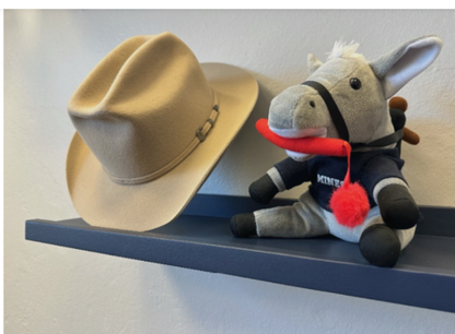 Silverbelly | Alumni School of Mines Hat **Limited Availability**