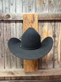WTP (West Texas Punch Crown & Brim) - Back View