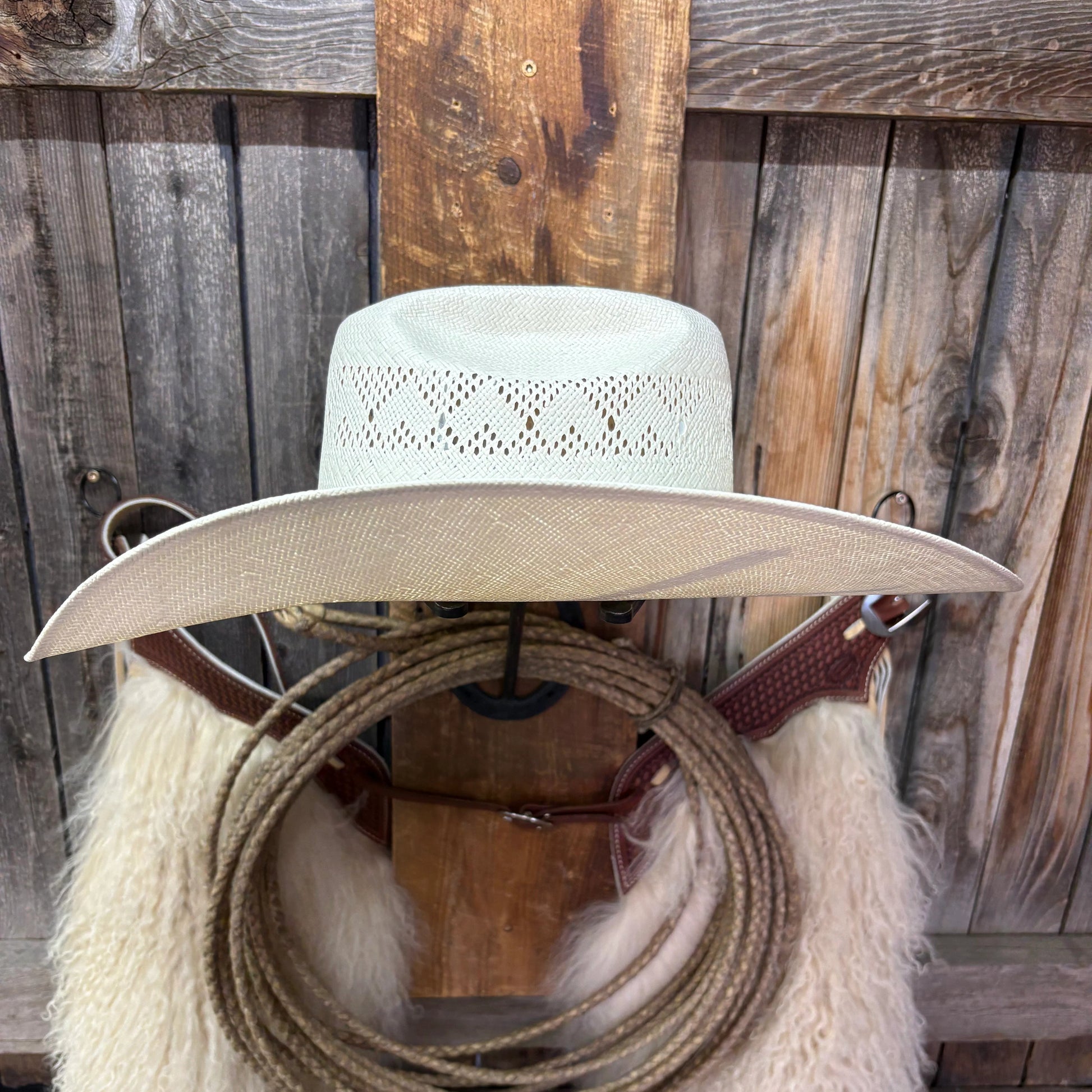 Twister Arrowhead 5" Brim