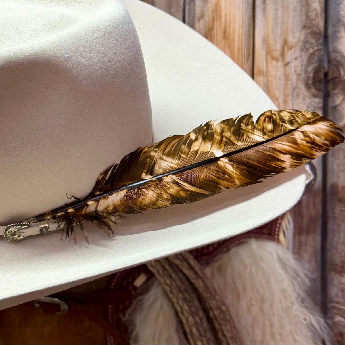 Patterened Feather