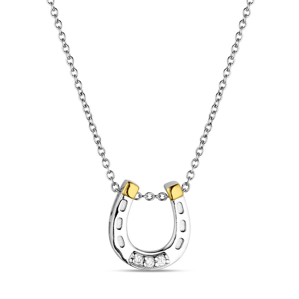 Horseshoe-shaped pendant with gold accents on a silver chain against a white background