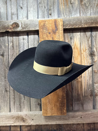 Trending Ribbon Combinations - Black Felt - Wide 1 1/2