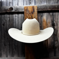 Brandon's Go To Shape (AKA the Brimdon) - Back View