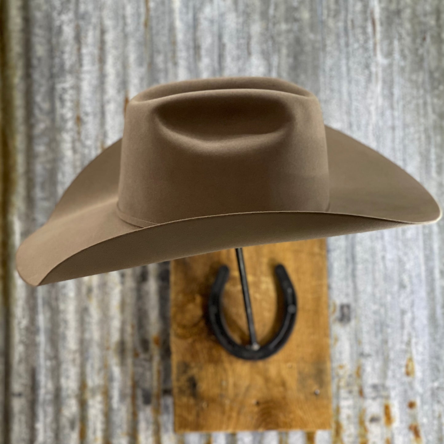 Cow Lot 100X 5" Brim | Natural