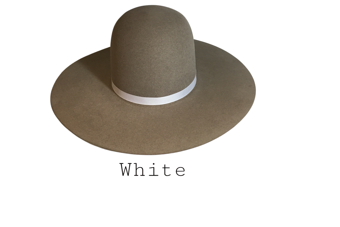 Cow Lot 100X 5" Brim | Natural